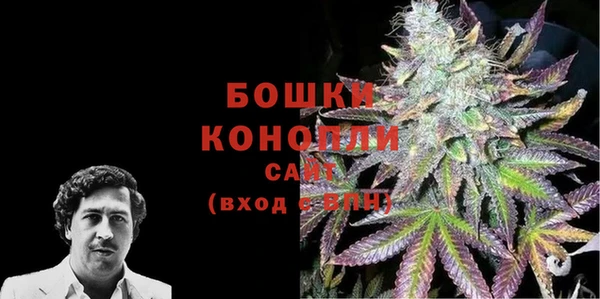 2c-b Мегион